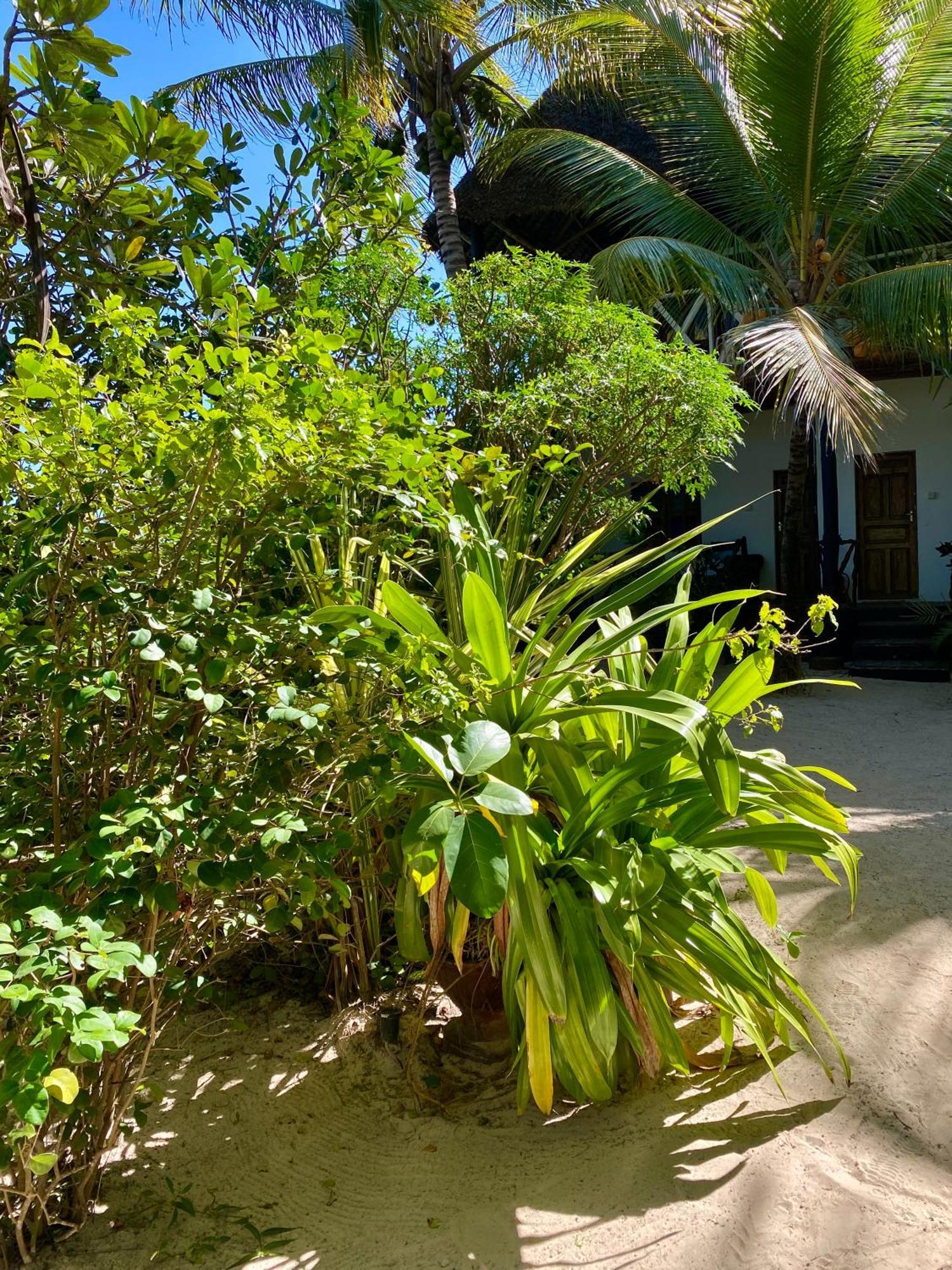 The Seles Boutique Hotel Gazija المظهر الخارجي الصورة