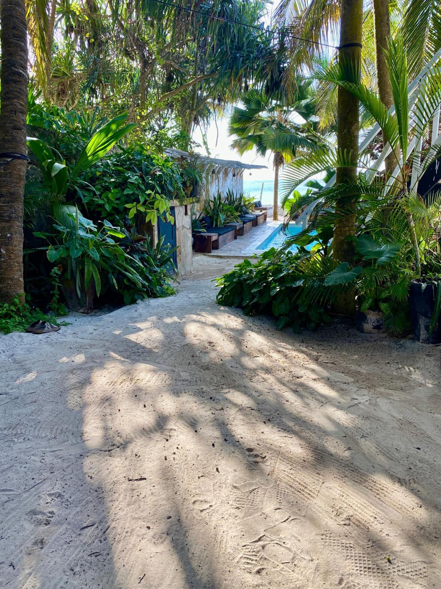 The Seles Boutique Hotel Gazija المظهر الخارجي الصورة