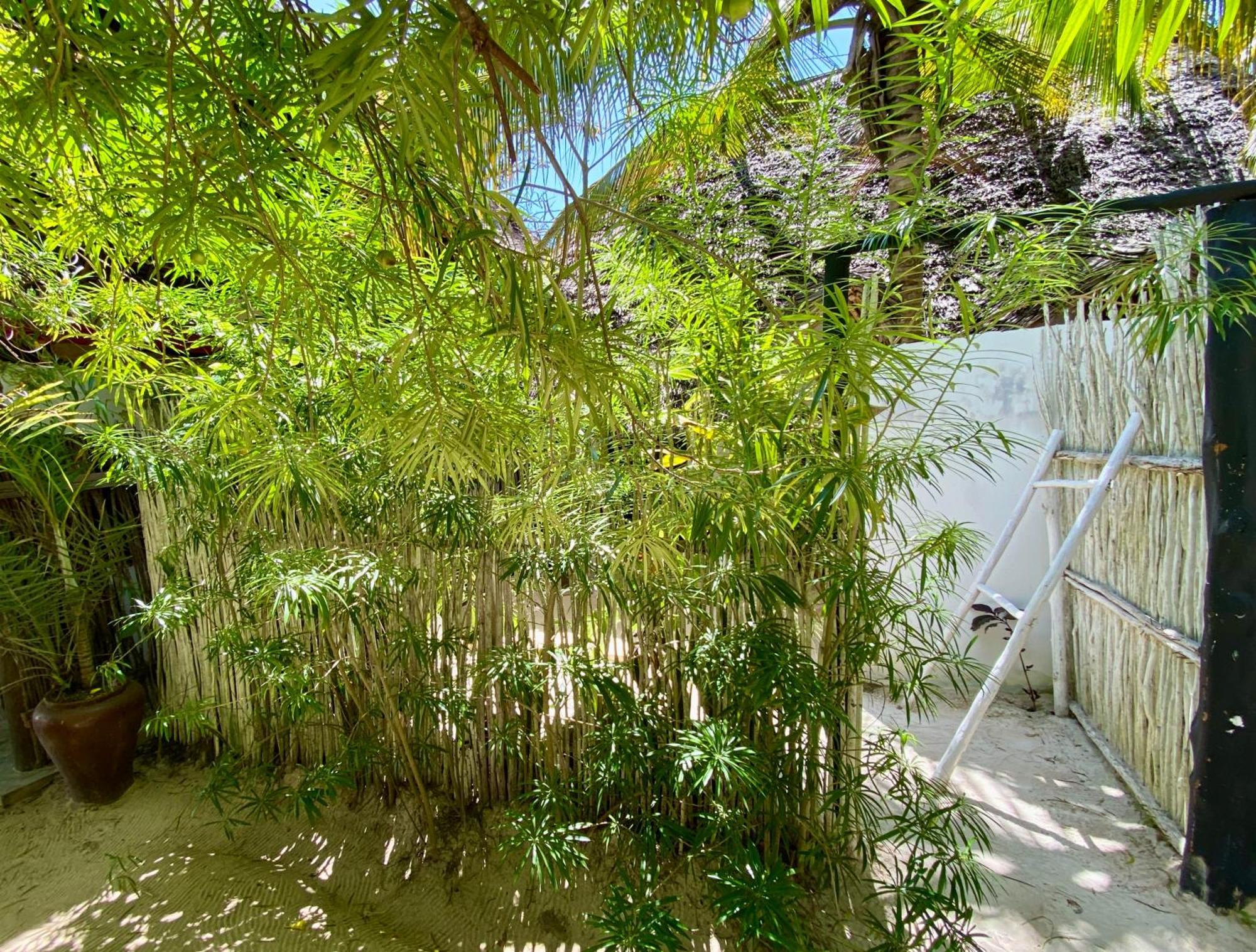 The Seles Boutique Hotel Gazija الغرفة الصورة